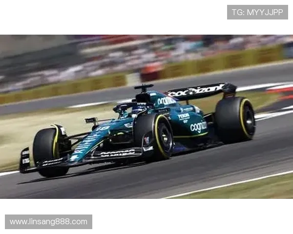 F1赛季激烈角逐 谁将成为新一任世界冠军争夺者