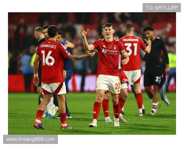 诺丁汉森林俱乐部的辉煌历程与未来展望：从历史冠军到重返英超的征程